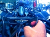 photo2