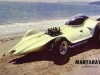 mantaray1